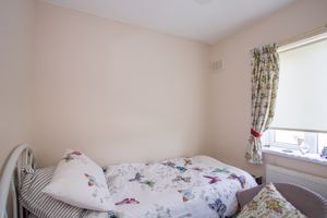 Photo 11- click for photo gallery